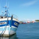 Commune de Roscoff